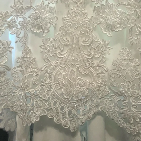 Pronovias Della Crepe Wedding Dress - Picture 3 of 6